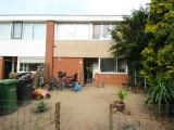 Kolkrijst, Hoogland