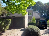 Goudplevier, Leusden