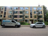 Colenso, Soest