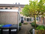 Kameelvlinder, Bilthoven
