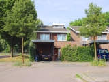 Koningsvaren, Soest